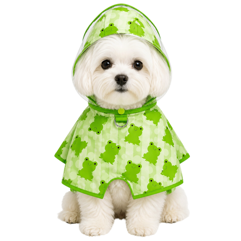 Froggy Raincoat