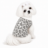 Angora White Leopard