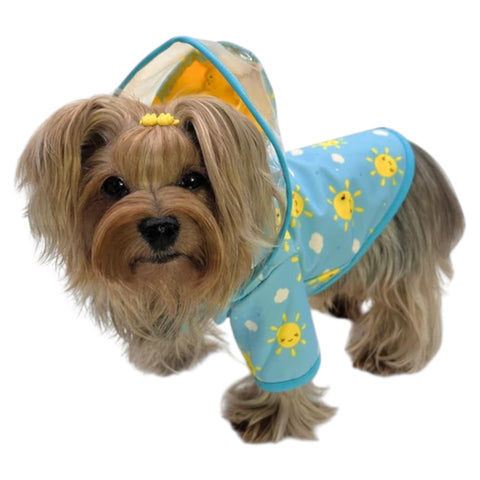 Sunshine Raincoat