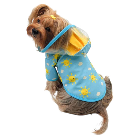 Sunshine Raincoat