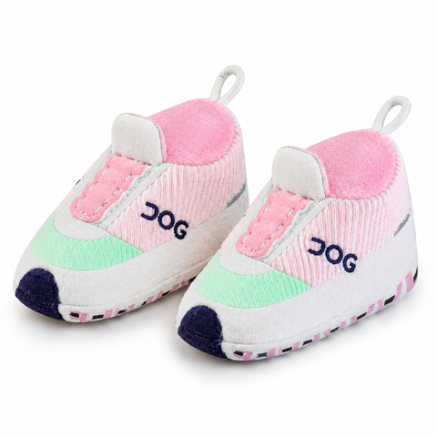 Dog Workout Shoe