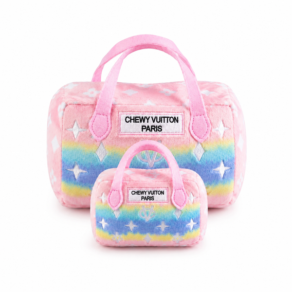 CV Purse Ombre'