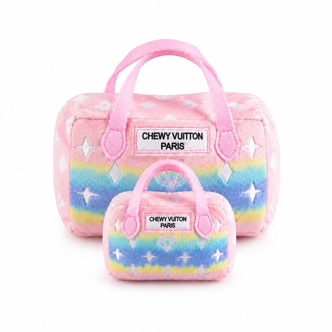 CV Purse Ombre'