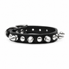Black Spike