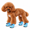 Dog Boots Blue