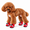 Dog Boots Red
