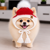 A/P Holiday Santa