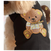 Chewy Teddy Bear