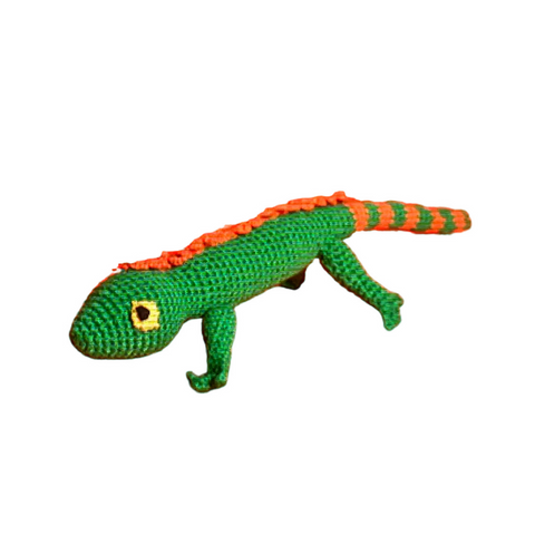 Lizard dog toy ware of the dog 